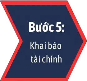 bước 5 - Khai báo tài chính