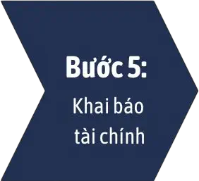 bước 5 Khai báo tài chính