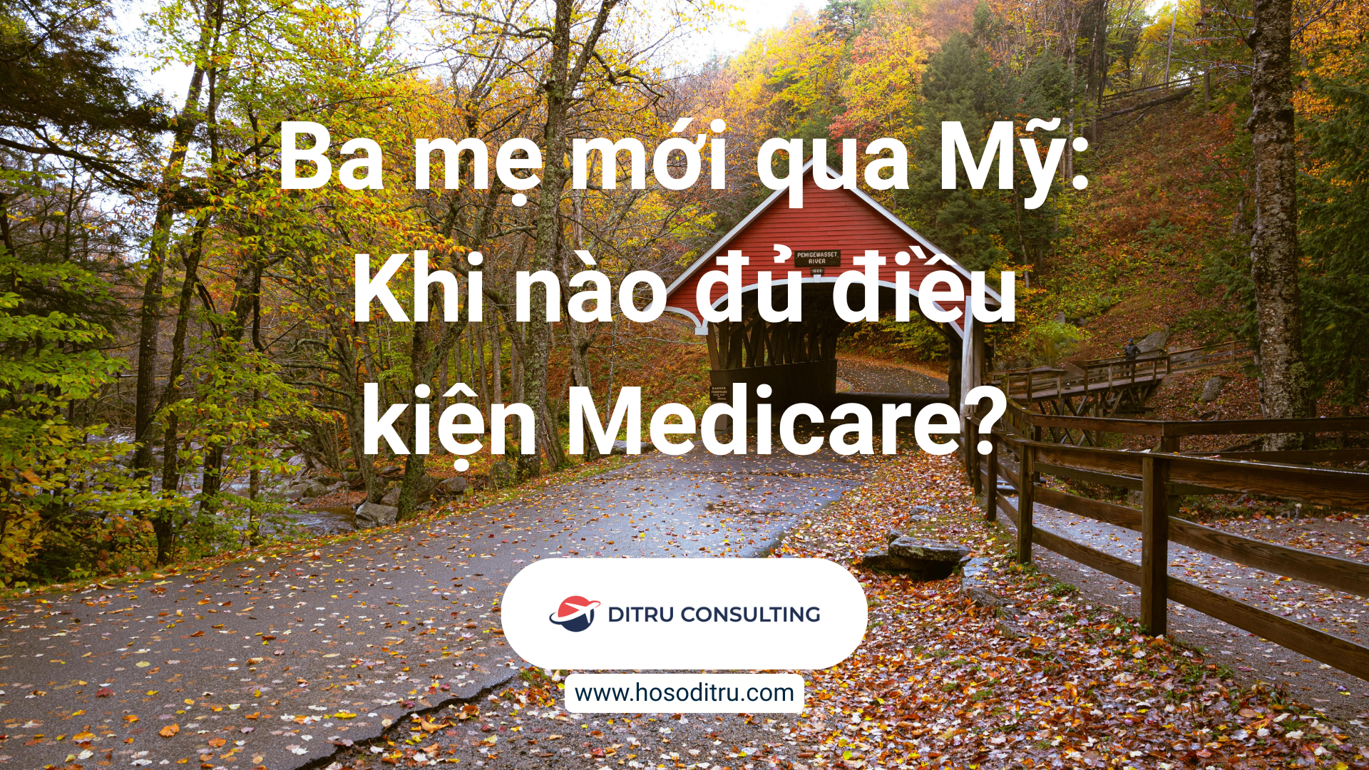 điều kiện xin medicare