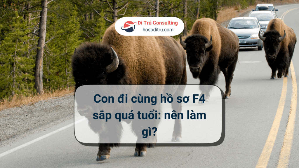 hồ sơ bảo lãnh diện f4