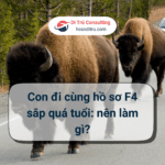 hồ sơ bảo lãnh diện f4