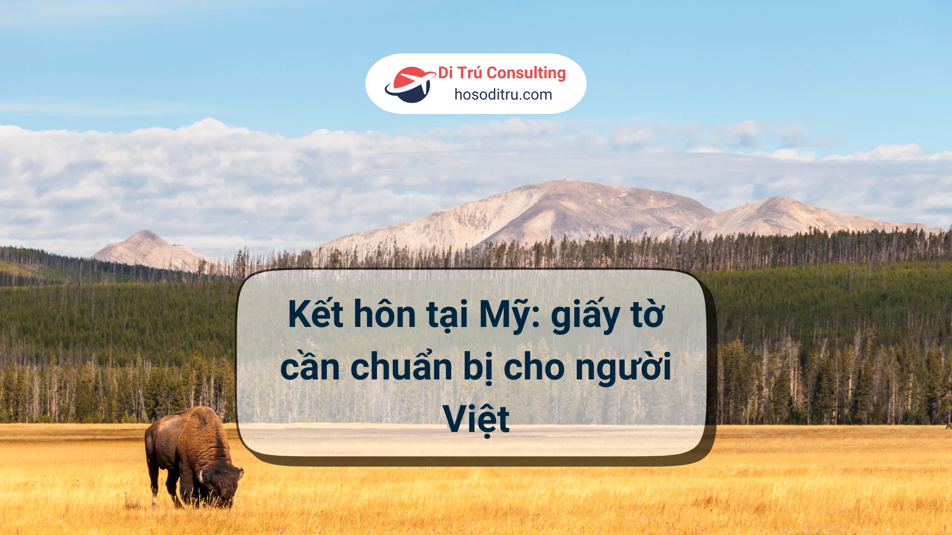 thủ tục kết hôn với người mỹ tại mỹ