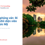 chuẩn bị trước khi phỏng vấn