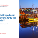 phiếu lý lịch tư pháp số 2